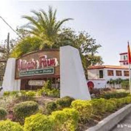 Beach Side Complex B23 1 Bed 1 Bath W/Heated Pool St. Augustine Zewnętrze zdjęcie